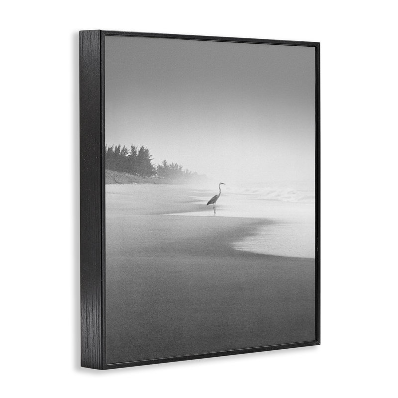 Héron sur la côte de la plage, estampe numérique encadrée par Chip Forelli, Giclée encadrée noir minuit, H 14 po x l 11 po