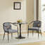 Jaquayla Gold-Tipped Modern Dining Chairs-1511724649