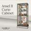 Ansel II 35.75'' Wide Curio Cabinet