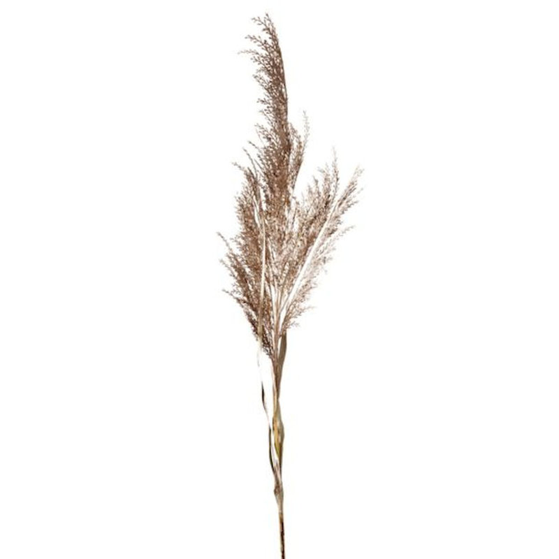 Herbe de pampas artificielle 45 po, Brun