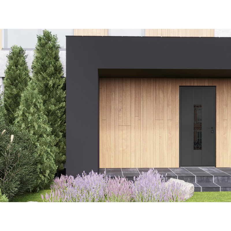 Porte avant en acier pré-suspendue à l'avant / émail noir 1477 Ronex / inserts en acier inoxydable avec entrée en métal peint moderne de l 36 po x H 80 po à gauche