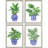 Botanical Blues S/4