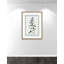 Colombe Shabby Elegance Botanical I - Art encadré avec fond perdu-72514549-72514543