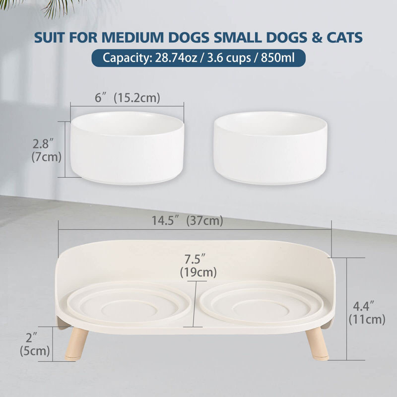Ensemble de bols pour chien en céramique Elevated