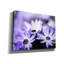«Fleurs mauves 3» par Photoinc Studio, art mural sur toile, 54 po x 40 po-896956311