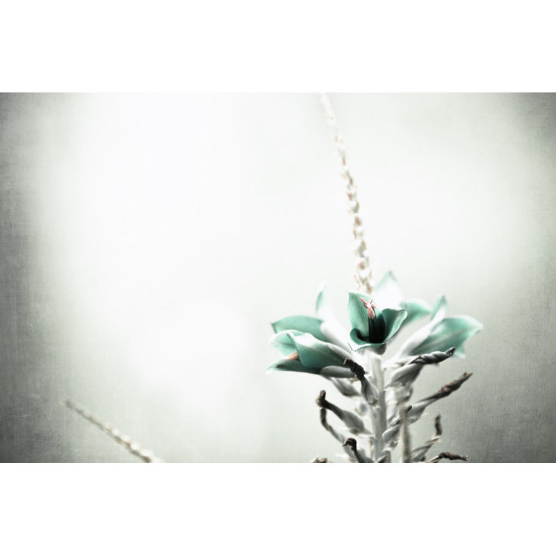 1 Piece Wrapped Canvas Wall Art, 61cm H x 91cm W x 3.81cm D