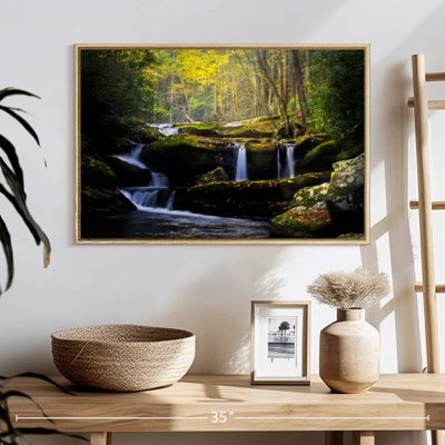 Stream In The Smokies