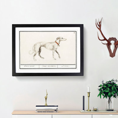 Greyhound by A.B. De Boodt - Picture Frame Painting Print
