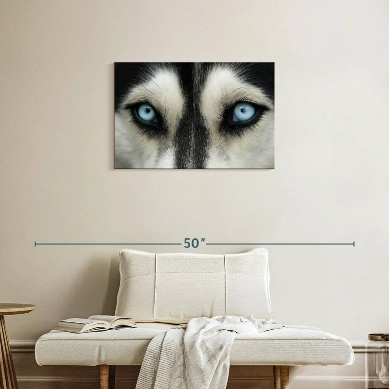 Husky Brampt aux yeux du ciel, H 20 po x l 30 po