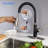 Rainlex Pull Down Kitchen Faucet