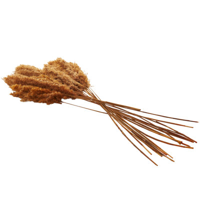 Pampas Grass Arrangement