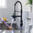 Fapully Pull Down Kitchen Faucet