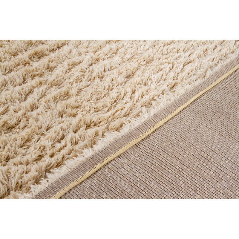 Decoste Hand Woven Area Rug, Rectangle 160 x 230cm