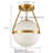 Brawner Glass Semi Flush Mount-1915503576