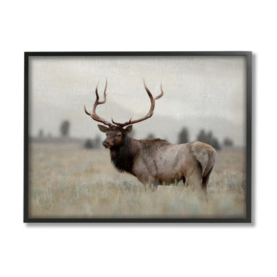 «Tranquil Elk Deer Grazing Farmal Farmland Field» par Danita Delimont - photographie à cadre flottant sur toile