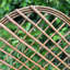 Anaysa 120cm H x 45cm W Wood Arched Trellis