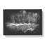 Winter Forest and Lake Paint Splash - Wrapped Canvas-61880534