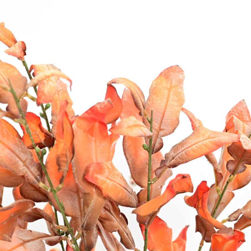 Branches de feuilles de pamplemousse 38 po