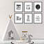Ensemble de 6 impressions sur papier Dareios