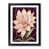 Black Framed selected
