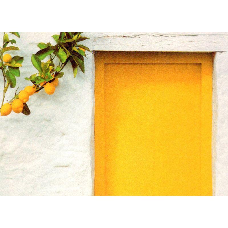 Citrons avec porte jaune IMA-M476, H 17 po x l 24 po