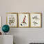 Pl. 63 mouchoirs aux yeux blancs - ensemble de 3 impressions sur toile encadrées-1466172693-1466172713