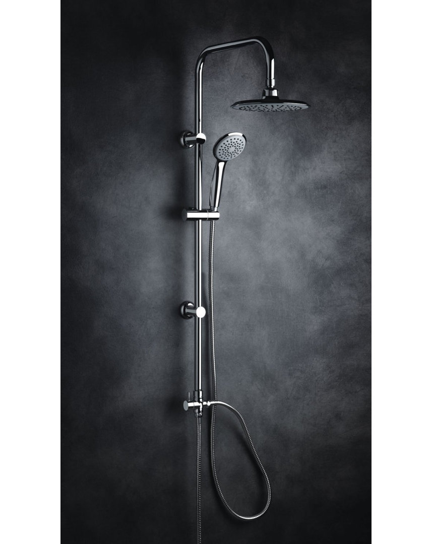 Dual Shower Head