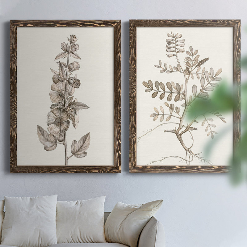 " Neutral Botanical Study V " 2 - Pieces, 37.5" H x 55" W x 1.5" D, Walnut Framed Canvas, No Mat