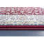 Anzleigh Oriental Area Rug-1577621267