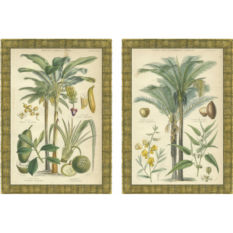 Mini Palms In Rattan - 2 Piece Wrapped Canvas Print Set, 30cm H x 46cm W x 3.8cm D