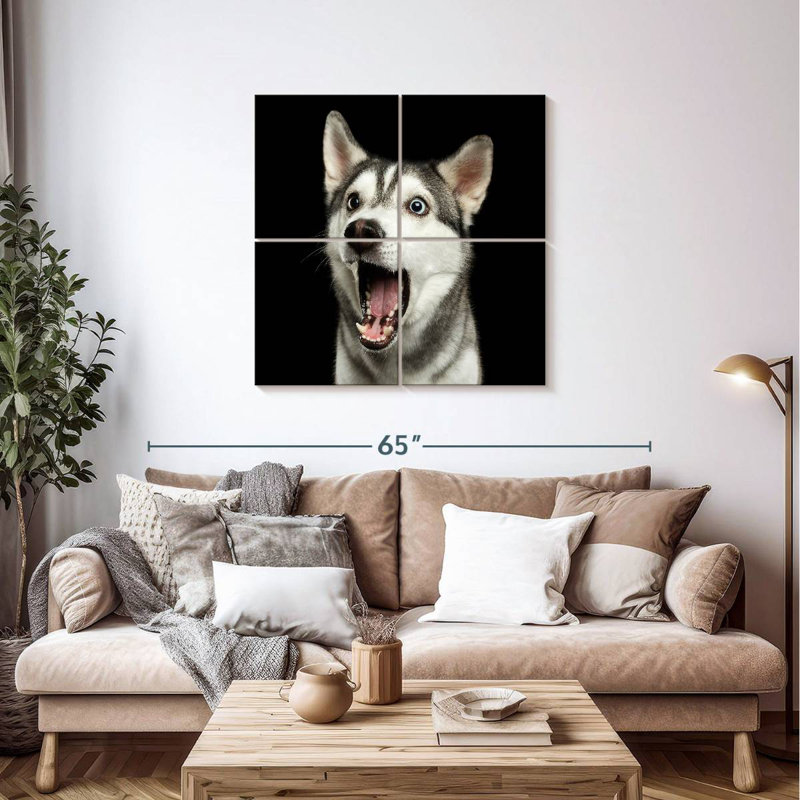 Brampt Surprised Siberian Husky, 38" H x 38" W