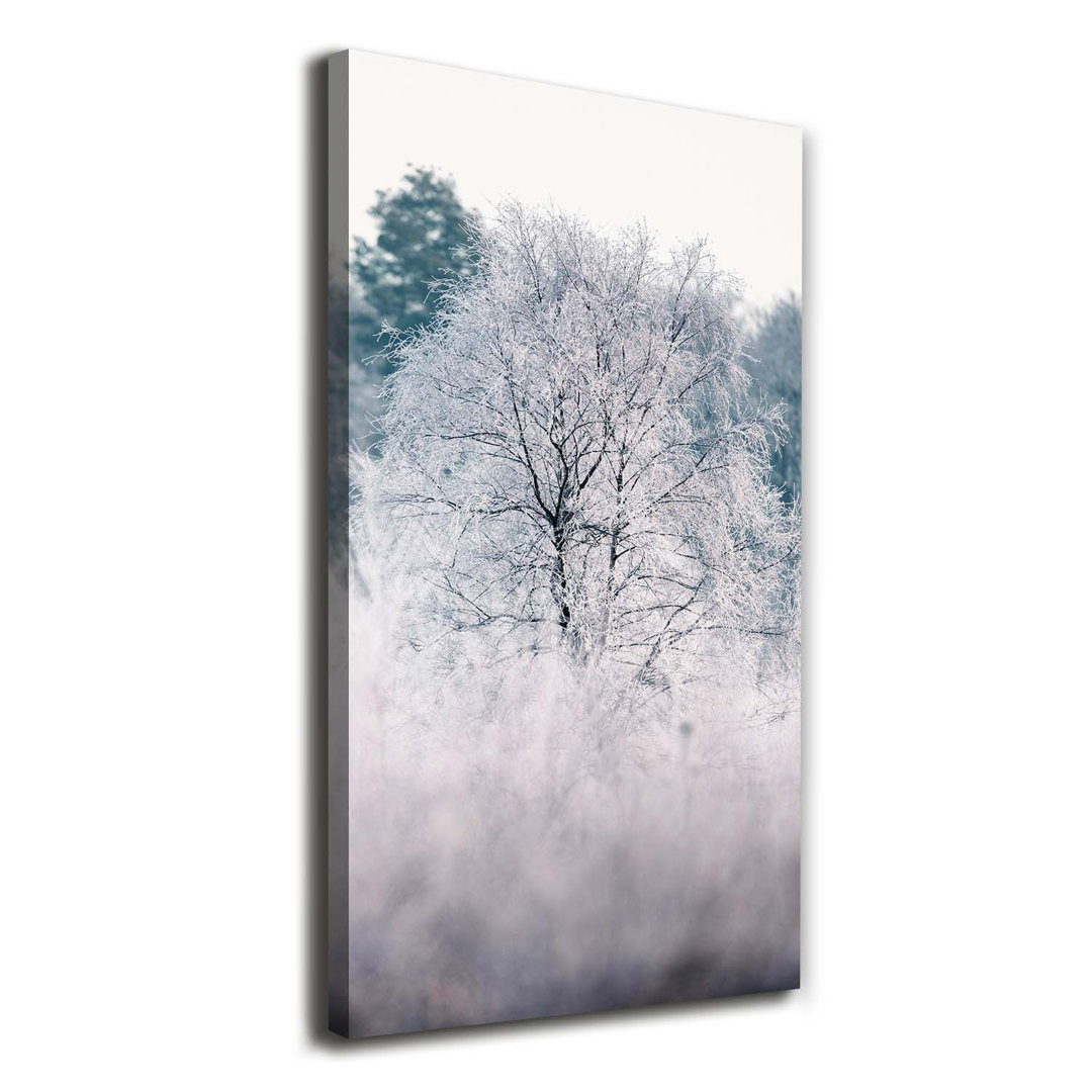 Winterwald - Kunstdrucke auf Leinwand - Wrapped Canvas