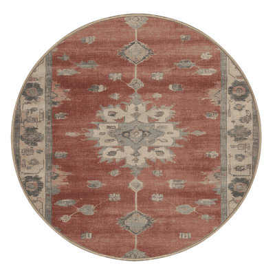 Machine Washable Overdyed Brown Area Rug