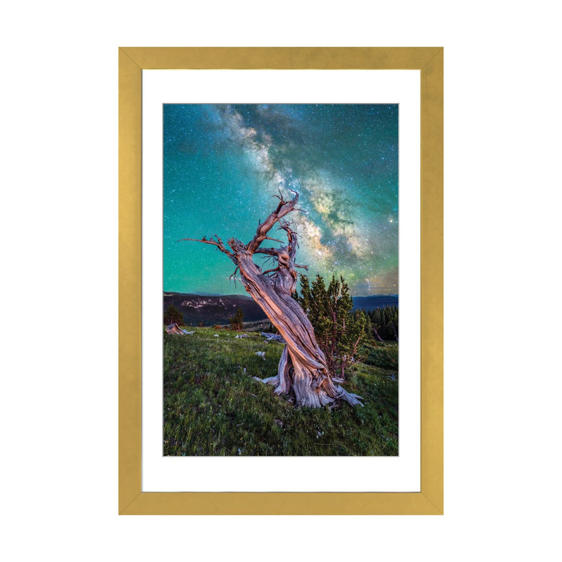 Milky Way Night Sky Over Antique Bristlecone Pine In Colorado - reproduction d'art mural - papier d'art encadré, Doré
