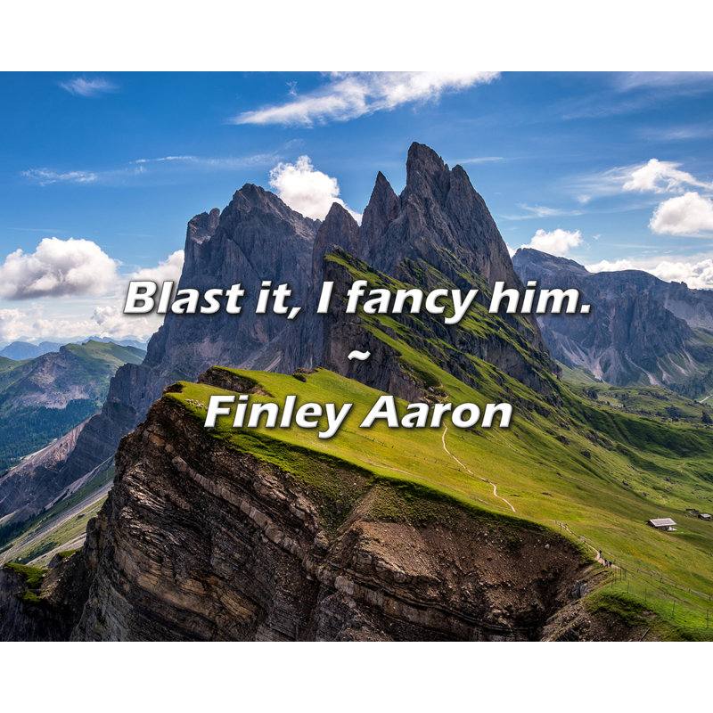 Artsy Quote "Blast it, I fancy him." By Finley Aaron Gallery Wrapped Canvas, 17" H x 24" W