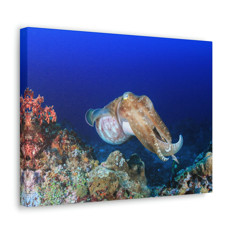 No Frame Print on Canvas, 45.72cm H x 60.96cm W