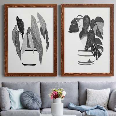 B and W d'intérieur plante V - ensemble de 2 reproductions d'art