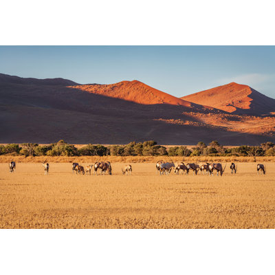 Namibia by Mlenny - Wrapped Canvas Print