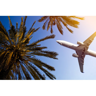 Airliner Passing Over Palm Trees by Aylinstock - Wrapped Canvas Print