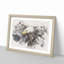 A Golden Eagle - Picture Frame Painting Print-56854231-56854232
