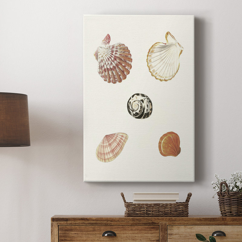 Pastel Knorr Shells 8 - galerie Cavas sur mesure, H 27 po x l 18 po