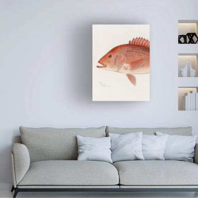 Bolog Sherman F. Denton Red Snapper Canvas Art