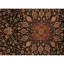 Hand Knotted Wool Area Rug in Black