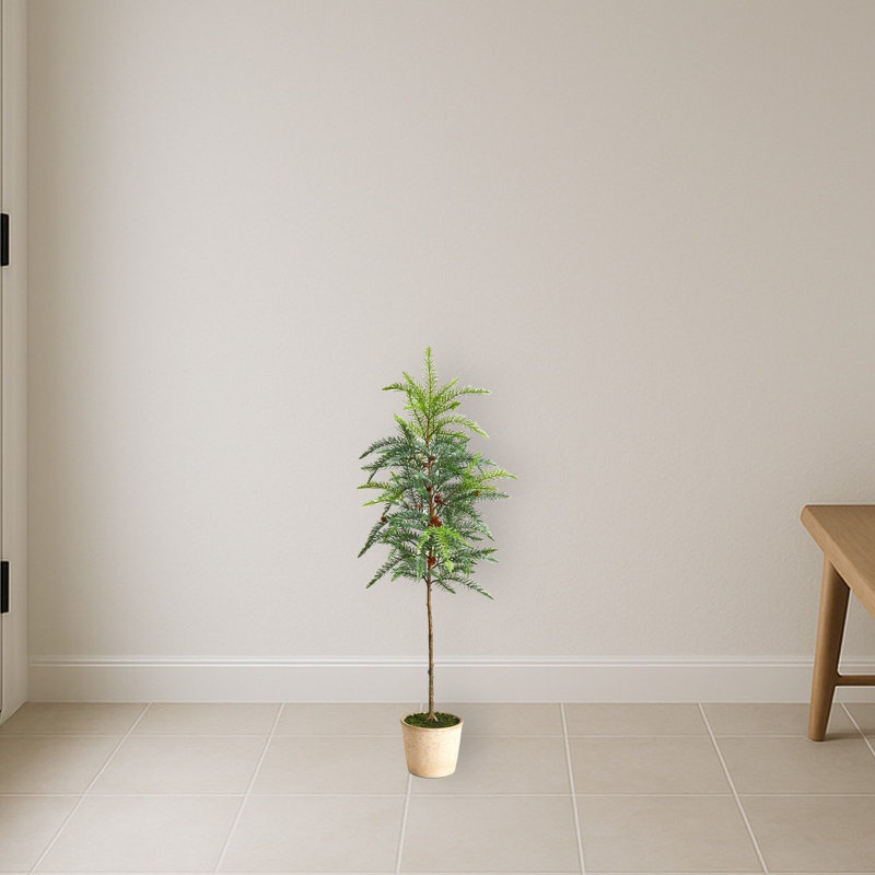 Pin artificiel en pot Winniepeg