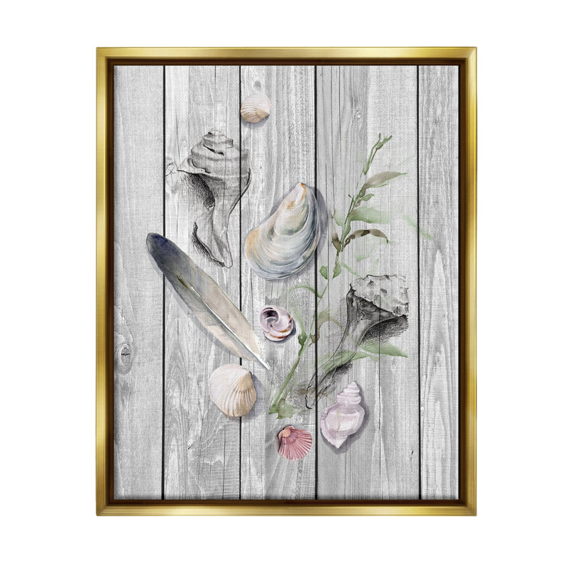 "Feather & Seashells Collection", art mural sur toile par Jennifer Paxton Parker, H 31 po x l 25 po x P 1,7 po