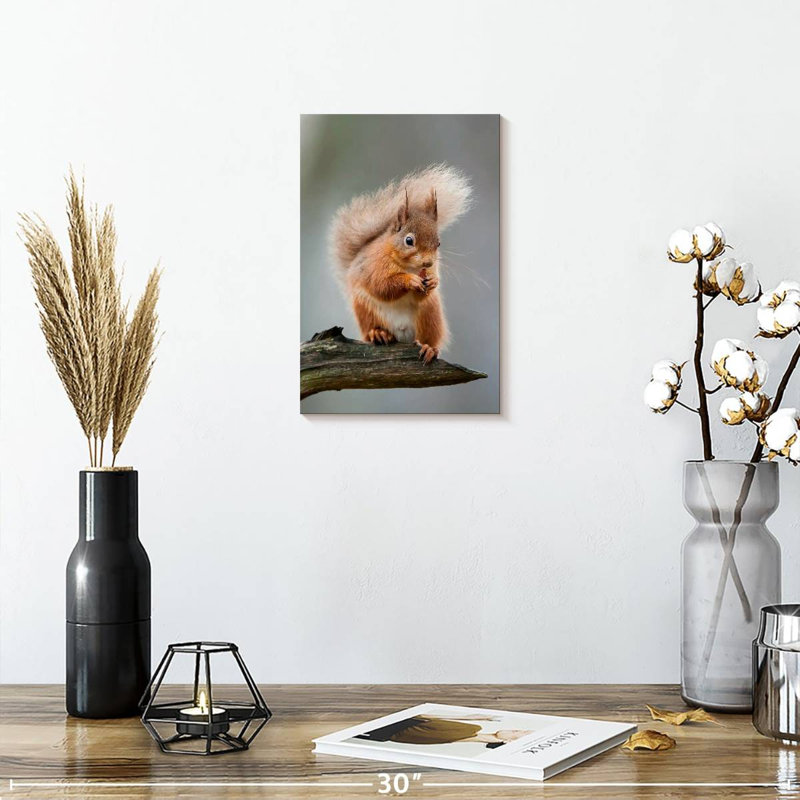 Brampt Red Squirrel Eating On A Branch, 12" H x 8" W