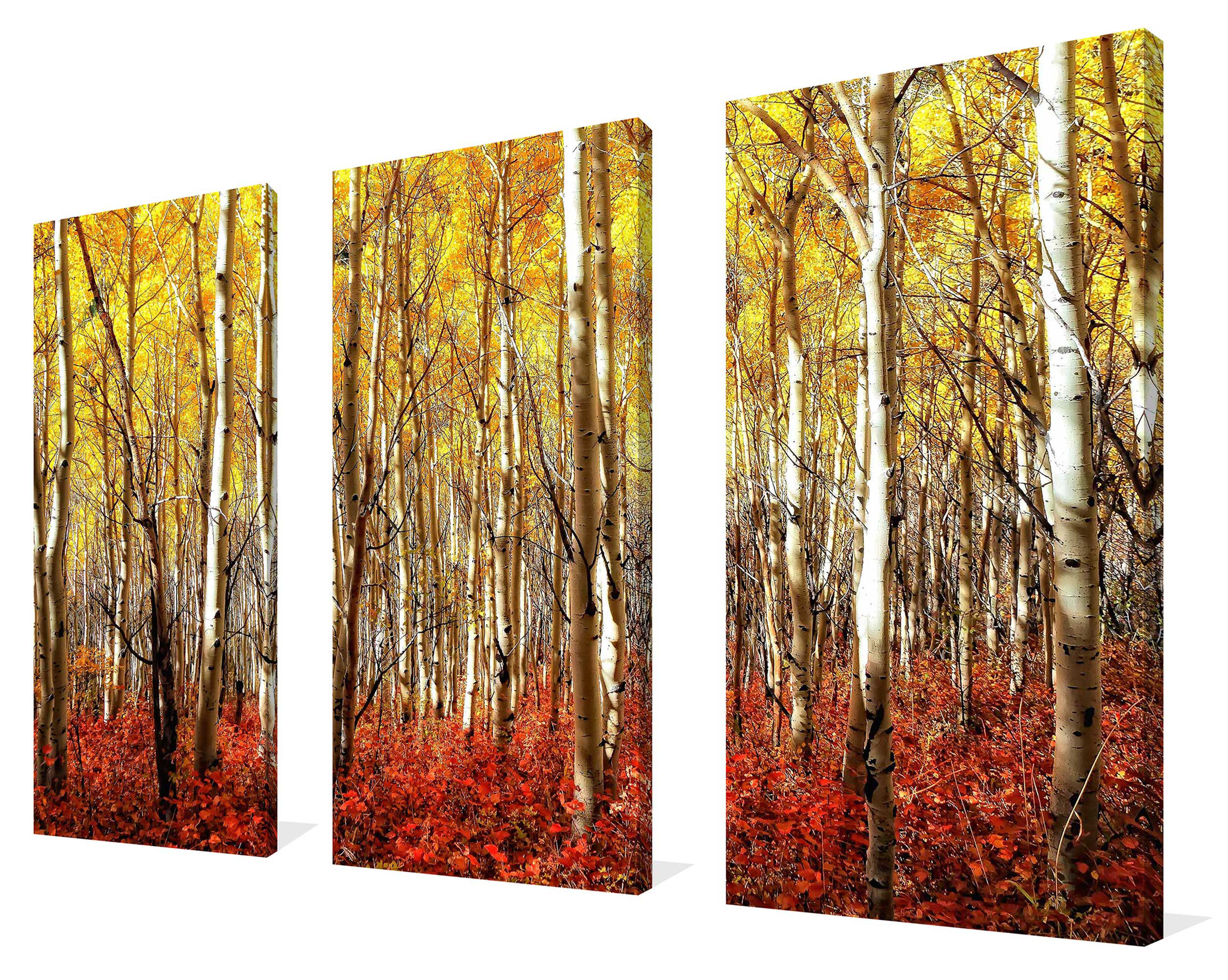Loon Peak Birch Trees - 3 Piece Wrapped Canvas Photograph - Wayfair Canada