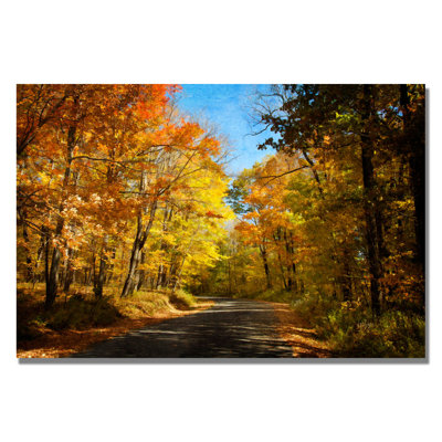 « allée » par lois bryan, reproduction de photo sur toile Gweltaz