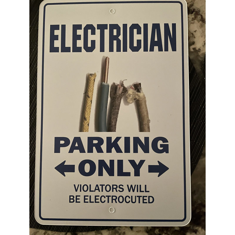 Élément de décoration électrique pour plaque murale
