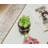 6'' Faux Succulent in Ceramic Pot